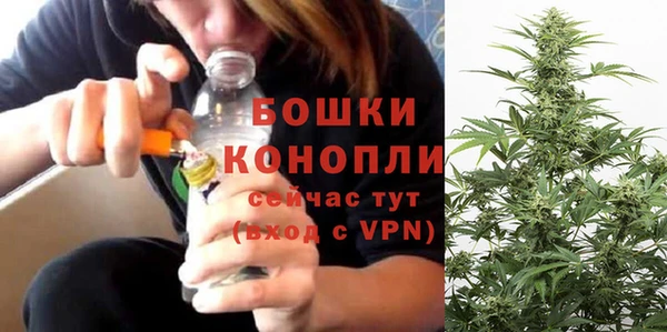 спиды Новозыбков
