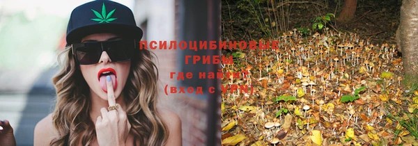 apvp Нягань
