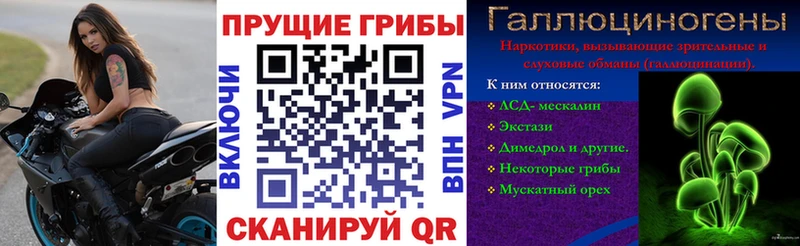Псилоцибиновые грибы Magic Shrooms  Нефтегорск 
